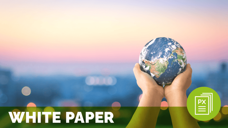 a pair of hands holding a globe, meant to represent global experience; text at the bottom of the image reads white paper
