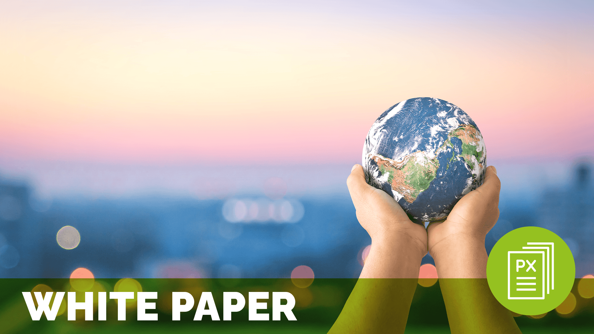 a pair of hands holding a globe, meant to represent global experience; text at the bottom of the image reads white paper