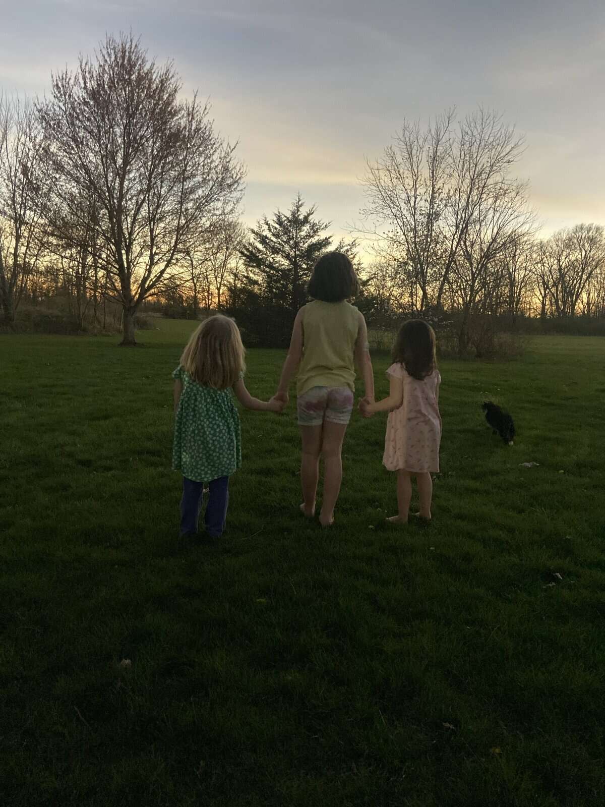 three children stand holding hands, with their backs to the camera, looking towards trees and a sunset